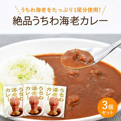 【うちわ海老1尾分！？】絶品 うちわ海老 カレー（3食セット） 平戸市 [KAA205] えび エビ うちわえび 贅沢 たっぷり 海鮮 カレー