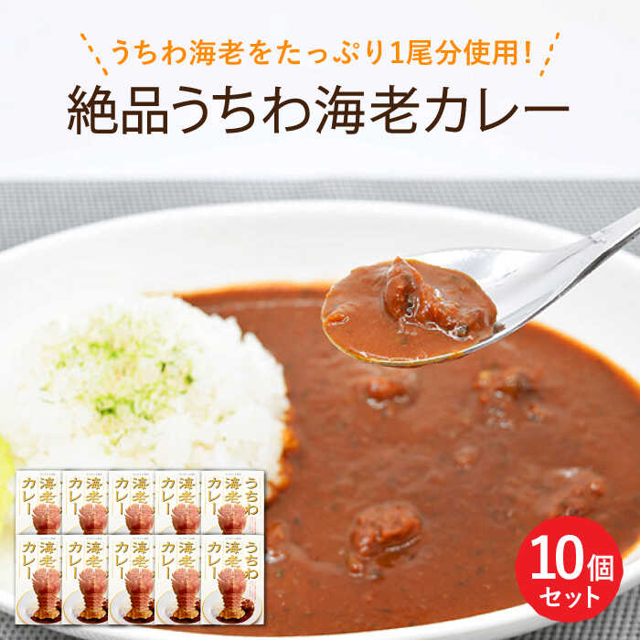 【うちわ海老1尾分！！】絶品 うちわ海老 カレー（10食セット） 平戸市 [KAA206] えび エビ うちわえび 贅沢 たっぷり 海鮮 カレー