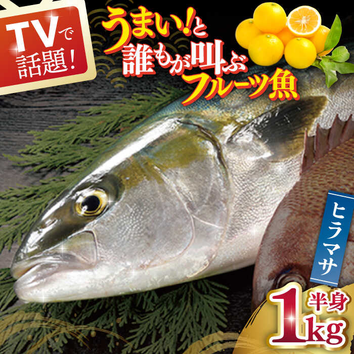 53位! 口コミ数「1件」評価「5」ヒラス（半身） 平戸なつ香 約1kg 平戸市 / 坂野水産 [KAA207] 夏香 魚介 海鮮 鮮魚 新鮮 ヒラス ヒラマサ レシピ付き 長･･･ 