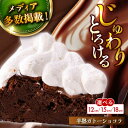 【ふるさと納税】【選べるサイズ】【楽天限定】【じゅわりととろける】半熟 ガトーショコラ 1ホール 12cm~18cm 【心優-CotoyuSweets-】バレン...