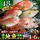 【ふるさと納税】【全12回定期便】朝獲れ！平戸 地魚 詰合せ