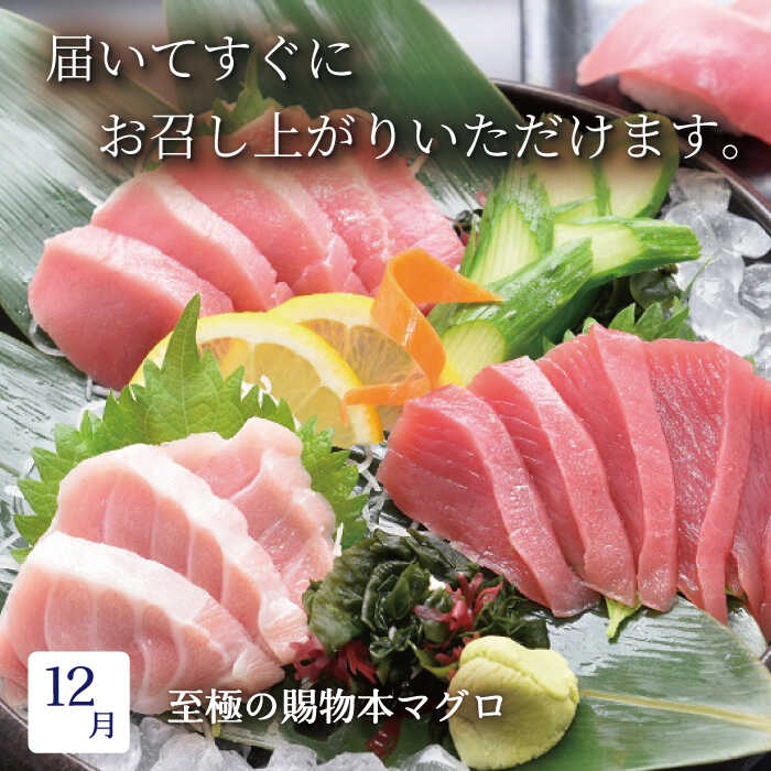 【ふるさと納税】【全6回定期便】平戸逸品 四季の彩り海物語【平戸さくら水産】 [KAA218]