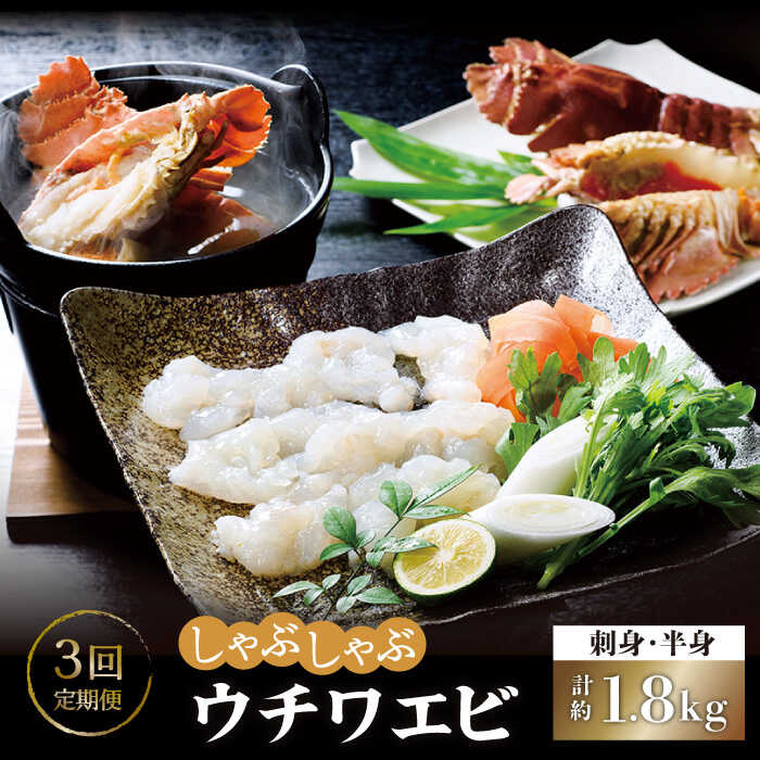[全3回定期便]ウチワエビ しゃぶしゃぶA「刺身・半身セット」計1.8kg(約600g×3回) 平戸市 / ひばり [KAA231] 海鮮 新鮮 魚介 うちわえび しゃぶしゃぶ 鍋 刺身 3回 セット