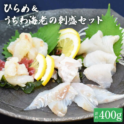 【平戸の特産を食べ比べ】ひらめ&うちわ海老の刺盛セット 約400g 平戸市 / 平戸さくら水産 [KAA244] 新鮮 魚介 海鮮 盛り合わせ 刺身 ヒラメ ウチワエビ