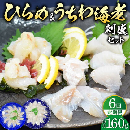 【全6回定期便】ひらめ&うちわ海老の刺盛セット 計960g(約160g×6回) 平戸市 / 平戸さくら水産 [KAA246] 新鮮 魚介 海鮮 盛り合わせ 刺身 ヒラメ ウチワエビ 6回 定期便