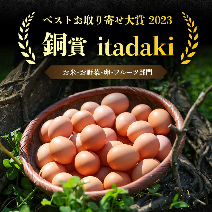 【ふるさと納税】【全6回定期便】「笑顔が広がる幸せ卵」平戸平飼い 放牧 卵「itadaki」144個（24個×6回） 平戸市 / ナチュラルエッグラボ [KAA256] 卵 たまご 玉子 6回 定期便