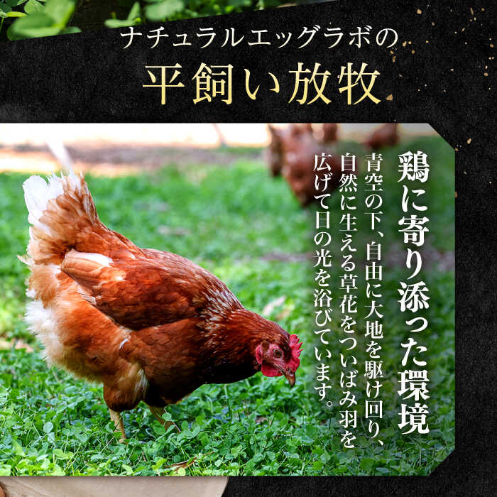 【ふるさと納税】【全6回定期便】「笑顔が広がる幸せ卵」平戸平飼い 放牧 卵「itadaki」144個（24個×6回） 平戸市 / ナチュラルエッグラボ [KAA256] 卵 たまご 玉子 6回 定期便