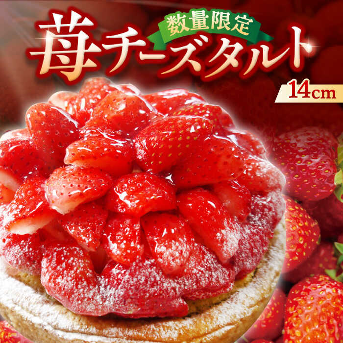 心優 ケーキ バレンタイン 【ふるさと納税】春限定の贅沢スイーツ！完熟平戸産 苺 のストロベリーチーズタルト 1ホール（14cm） 平戸市 / 心優-CotoyuSweets- [KAA298] いちご タルト チーズケーキ スイーツ お菓子 ケーキ 誕生日 プレゼント ギフト 贈答 手土産 女性 人気 ご褒美