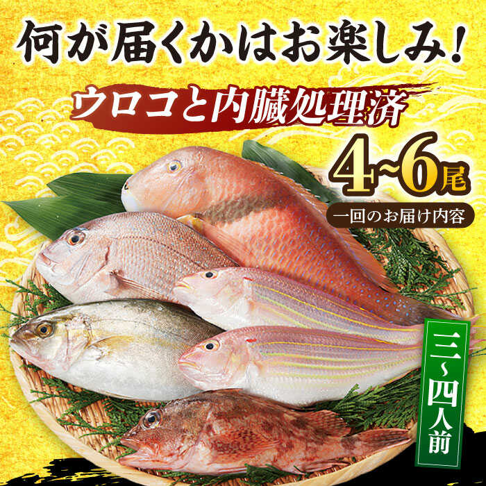 【ふるさと納税】【全3回定期便】朝獲れ！平戸地魚詰合せ定期便 【平戸瀬戸市場協同組合】[KAA303]