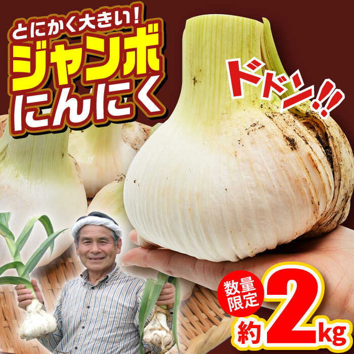 【ふるさと納税】【先行予約】【安心安全！ホクホク食感】エレファントガーリック 【約2.0kg】平戸市 ...