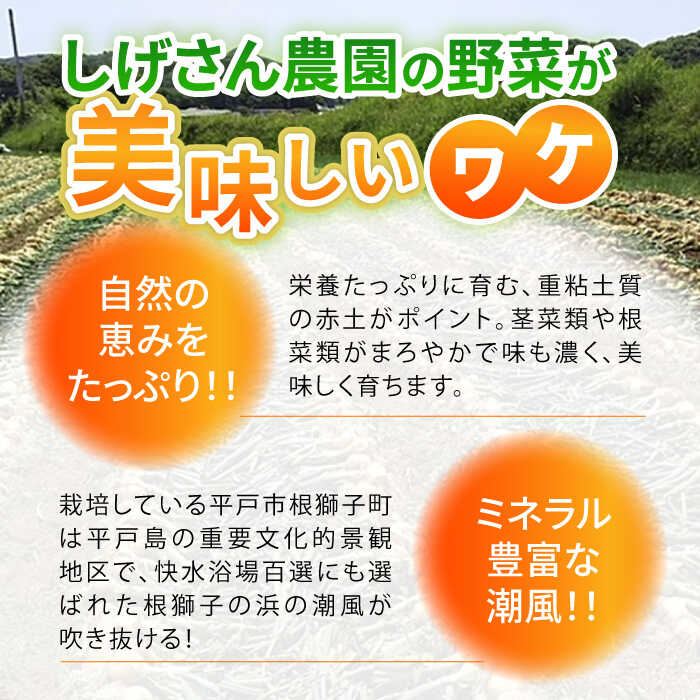 【ふるさと納税】【春の新物！食べ比べ】春の新じゃがいも 約4kg・新玉ねぎ 約4kg 詰め合わせ【しげさん農園】 [KAA318]