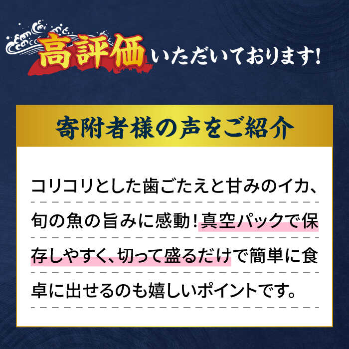 【ふるさと納税】【漁協直送！】獲れたて 旬魚 の柵 3種 セット（ 刺身 2種＆ イカ 1種）（4～5人前） 平戸市/舘浦漁業協同組合 [KAA333]平戸 魚 鮮魚 お刺身 新鮮 海の幸 海鮮 海産物 贈答 ギフト お祝い 記念日 冷蔵 真空パック