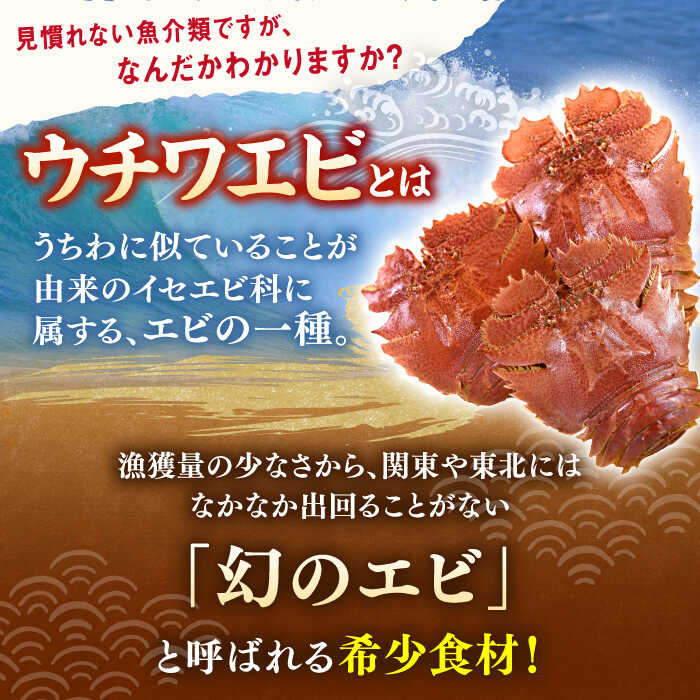 【ふるさと納税】【全3回定期便】ウチワエビ しゃぶしゃぶ B（刺身・半身セット） 【 ひばり 】[KAA488]