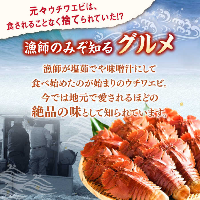 【ふるさと納税】【全3回定期便】ウチワエビ しゃぶしゃぶ B（刺身・半身セット） 【 ひばり 】[KAA488]