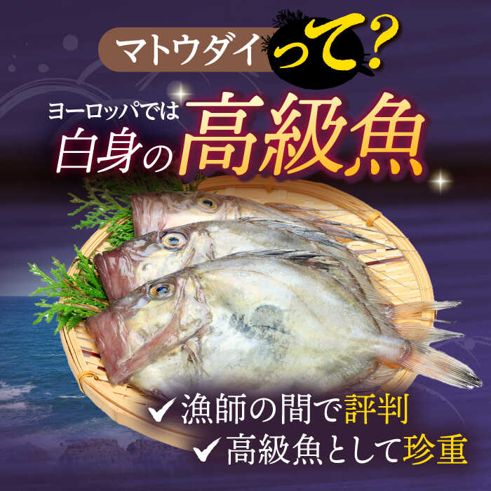 まるか食品 イカ天 瀬戸内れもん味 65g x12 メーカー直送 ギフト プレゼント