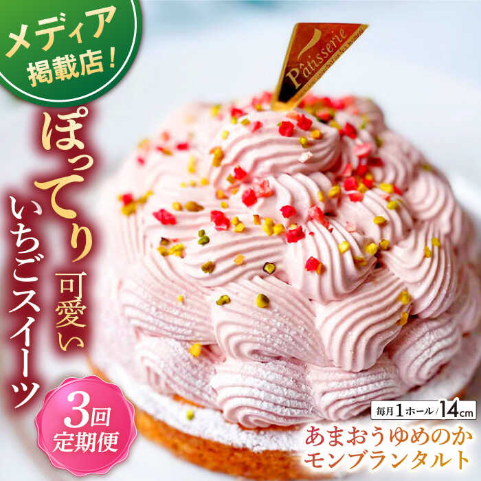 [全3回定期便]あまおうゆめのかモンブラン 1ホール(14cm)[心優-CotoyuSweets-]