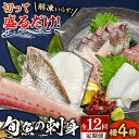 【ふるさと納税】【全12回定期便】 獲れたて 旬魚 の柵 4種 セット（ 刺身 3種＆ イカ 1種）（5～6人前） 【平戸市/舘浦漁業協同組合】[KAA523]