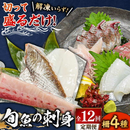 【全12回定期便】 獲れたて 旬魚 の柵 4種 セット（ 刺身 3種＆ イカ 1種）（5～6人前） 【平戸市/舘浦漁業協同組合】[KAA523]