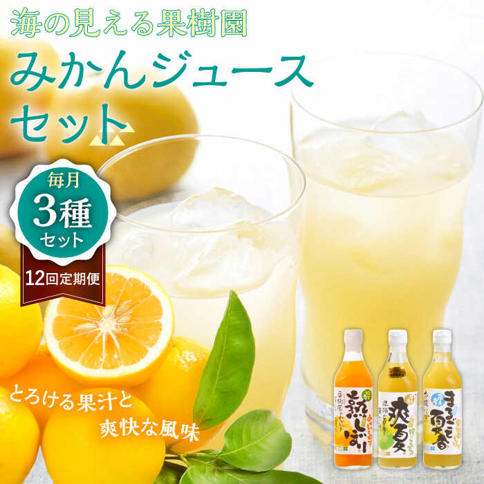 9位! 口コミ数「0件」評価「0」【全12回定期便】【自家栽培の柑橘のみを使用】みかん ジュース 3本 セット【善果園】[KAA526]