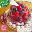 【ふるさと納税】【全3回定期便】ブルーベリー&ラズベリーチーズタルト1ホール(14cm)【心優 −Cotoyu Sweets−】[KAA...