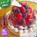 【ふるさと納税】【全6回定期便】 ブルーベリー&ラズベリーチーズタルト1ホール(14cm)【心優 −Cotoyu Sweets−】[KA...