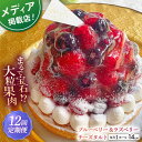 【ふるさと納税】【全12回定期便】ブルーベリー&ラズベリーチーズタルト1ホール(14cm)【心優 −Cotoyu Sweets−】[KA...