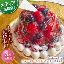 【ふるさと納税】【全3回定期便】ブルーベリー&ラズベリーチーズタルト1ホール(18cm)【心優 −Cotoyu Sweets−】[KAA...