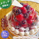 【ふるさと納税】【全12回定期便】ブルーベリー&ラズベリーチーズタルト1ホール(18cm)【心優 −Cotoyu Sweets−】[KA...