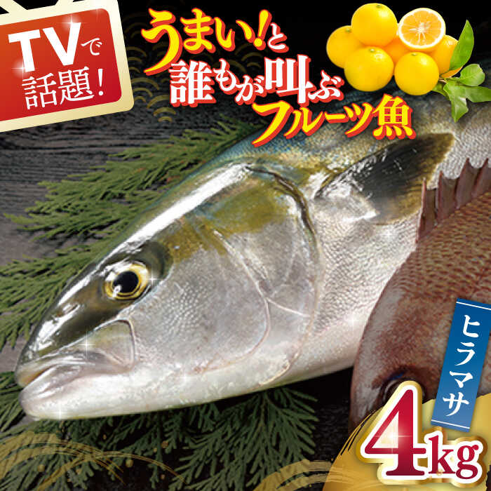 47位! 口コミ数「3件」評価「5」ヒラス（ヒラマサ） 平戸なつ香 約4kg 平戸市 / 坂野水産 [KAA001] 鮮魚 魚介 夏香 みかん オレンジ レシピ付き ひらす ひ･･･ 