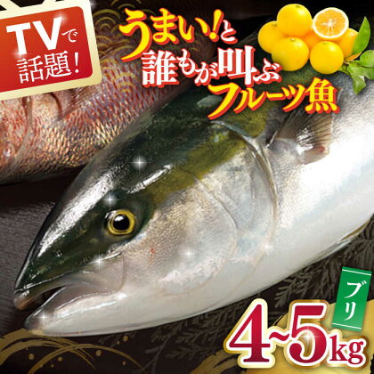 ブリ 平戸なつ香 約4～5kg【坂野水産】 鮮魚 夏香 なつ香 [KAA003] ブリ ぶり 鮮魚 刺身 長崎 長崎県