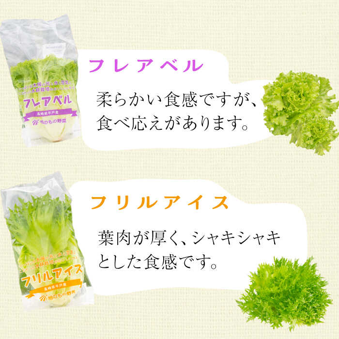 平戸産のおいしい 水耕栽培レタス 水耕栽培 レタス 12個 4種 3個 平戸市 モロフジファーム Kaa066 野菜 ハウス栽培 早い 即納 サラダ すぐ届く 毎日続々入荷 サニーレタス セット 平戸産のおいしい 水耕栽培レタス 水耕栽培 レタス 12個 4種 3個 平戸市 モロフジファーム Kaa066 野菜 ハウス栽培 早い 即納 サラダ すぐ届く 毎日続々入荷 サニーレタス セット