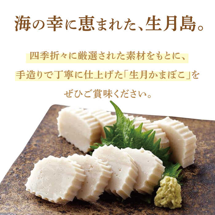 本場　じゃこ天　6種類6枚セット