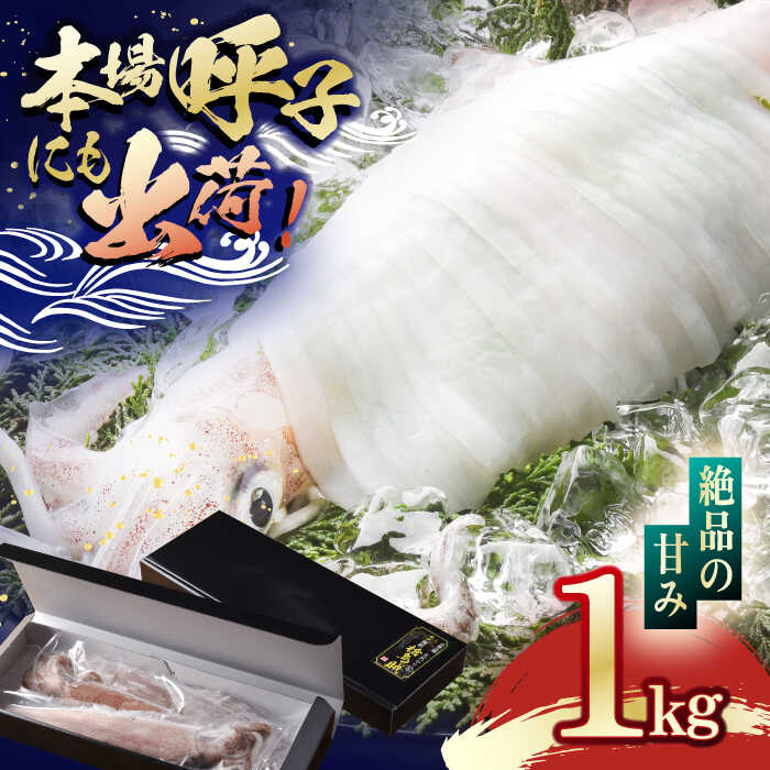 【ふるさと納税】平戸 極鮮 ヤリイカ 約1kg【海隆丸】[K