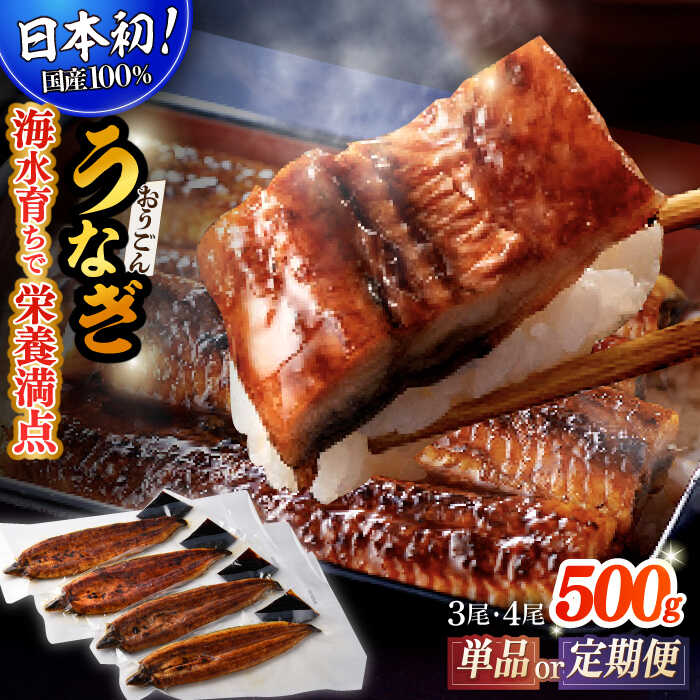 [選べる回数][単品 定期便 選べる][日本初!海水で養殖]長崎県産おうごんうなぎ 約500g(3尾〜4尾)平戸市 / 松永水産 [KAB111] うなぎ 鰻 ウナギ 蒲焼