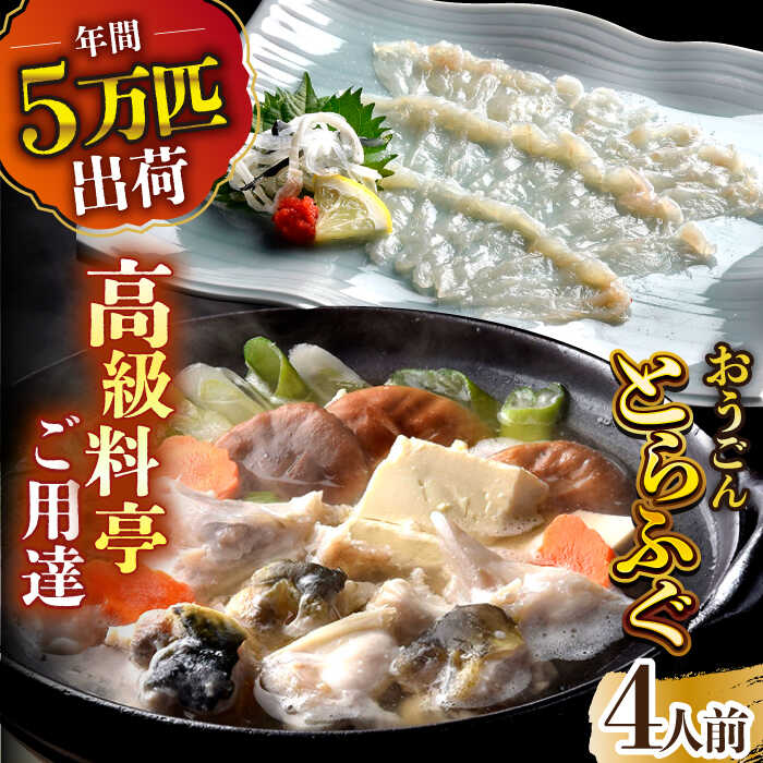 魚介類・水産加工品(フグ)人気ランク15位　口コミ数「3件」評価「4.33」「【ふるさと納税】活〆おうごんとらふぐ プレミアムセット（4人前）平戸市 / 松永水産 [KAB114] トラフグ とらふぐ 河豚 鍋 フグ ふぐ」