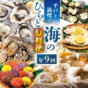 【ふるさと納税】【全9回定期便】平戸を満喫！海のひらど旬鮮便