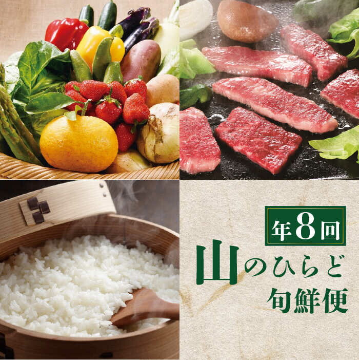 【ふるさと納税】【全8回定期便】