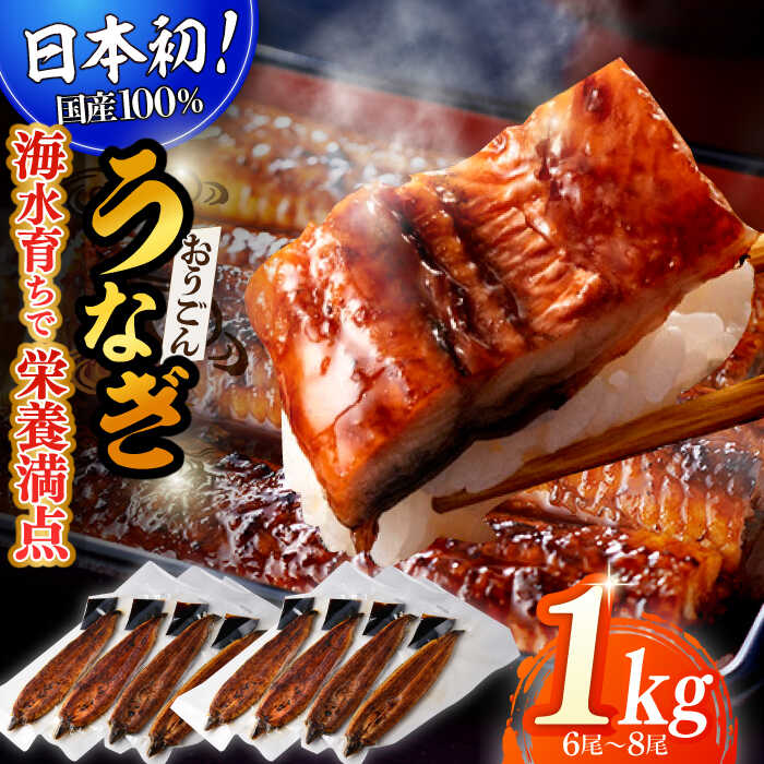 【ふるさと納税】【日本初！海水で養殖】長崎県産おうごんうなぎ松セット 約1kg（6尾～8尾） 平戸市 / 松永水産 [KAB128] 魚介 鮮魚 新鮮 鰻 ウナギ 大容量