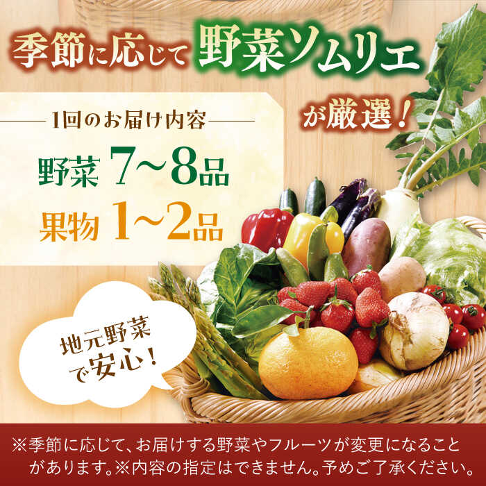 【ふるさと納税】＜全3回定期便＞【ソムリエ厳選】安心の地元野菜と果物のお任せセット 平戸市 / ひらど新鮮市場 [KAB159] 野菜 キャベツ アスパラガス きゅうり ナス 大根 かぶ ミニトマト 玉ねぎ いちご 3回 定期便