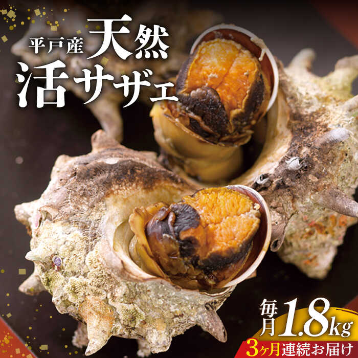 ڤդ뤵Ǽǡۡ3ءʿͻ褭ޤޡŷ襵 5.4kg1.8kg3 ʿͻ / ҤɿԾ [KAB...