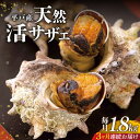 【ふるさと納税】＜全3回定期便＞【平戸産を活きたまま】天然活サザエ 計5.4kg（約1.8kg×3回） 平戸市 / ひらど新鮮…