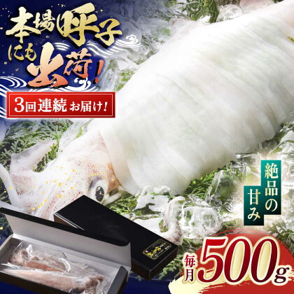 【全3回定期便】瞬間冷凍 平戸 極鮮 ヤリイカ 計1.5kg (約500g×3回)【海隆丸】 [KAB178]