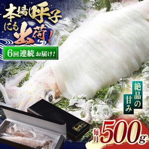 【ふるさと納税】【全6回定期便】瞬間冷凍 平戸 極鮮 ヤリイカ 計3.0kg (約500g×6回)【海隆丸】 [KAB179]