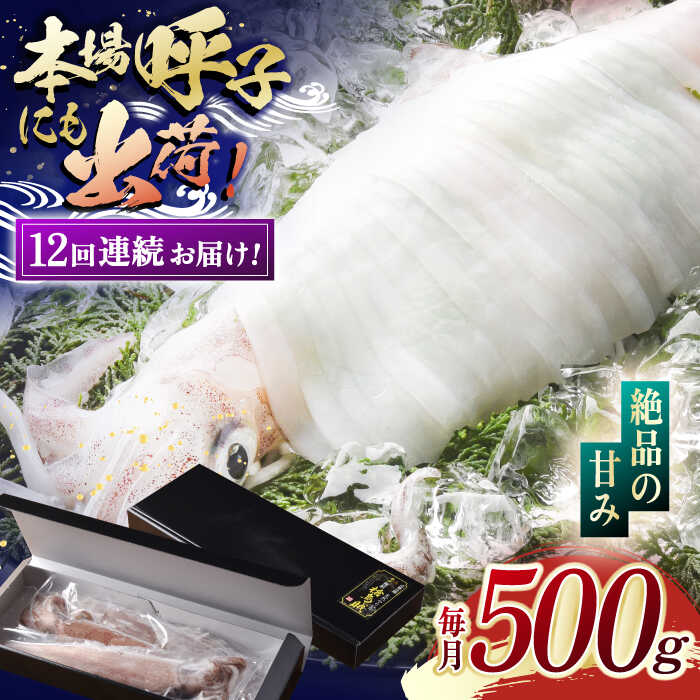 ڤդ뤵Ǽǡۡ12ء ִ ʿ  ꥤ 6.0kg (500g12)ڳδݡ [KAB180]