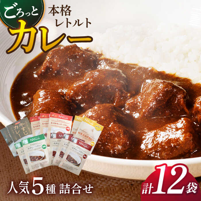 9位! 口コミ数「0件」評価「0」【カレー好きのためのアソートセット】カレー工房NVfoodsのカレー5種（11袋）詰め合わせセット[KAB219]