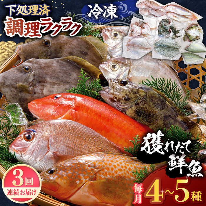 [全3回定期便][平戸市場直送]旬の獲れたて鮮魚(冷凍)[4〜5種類] 平戸市 / ひらど新鮮市場