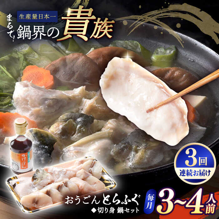 [全3回定期便][着日指定 可能]活〆おうごんとらふぐ 鍋 セット 約400g 平戸市 / 松永水産
