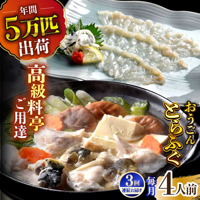 [全3回定期便][着日指定 可能]活〆おうごんとらふぐ プレミアムセット(4人前)平戸市 / 松永水産