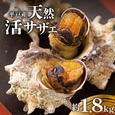 楽天ふるさと納税　【ふるさと納税】天然 活 サザエ 約1.8kg (10～13個) 【ひらど新鮮市場】[KAB006]