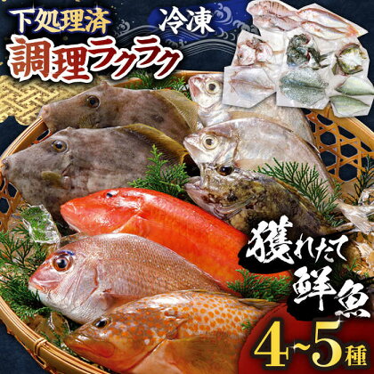 【平戸市場直送】旬の獲れたて鮮魚（冷凍）＜4～5種類＞ 平戸市 / ひらど新鮮市場 [KAB007] 直送 タイ カサゴ イカ カンパチ ぶり 甘鯛 地魚 海鮮 高級魚